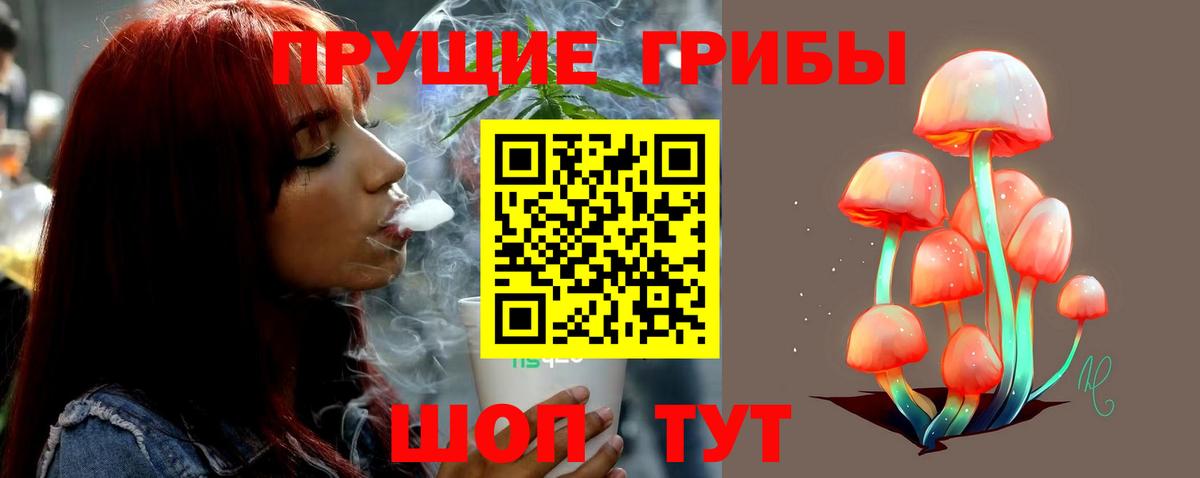 Псилоцибиновые грибы мухоморы Зеленогорск